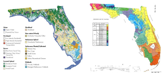 Common Geographic Maps and Why You Should Know About Them